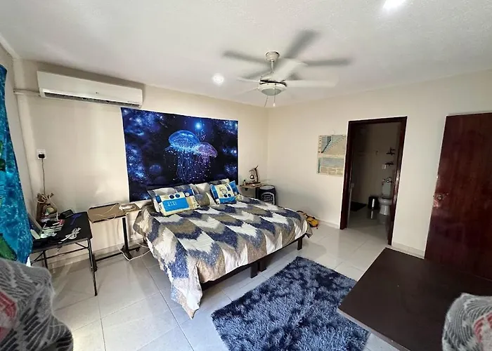 The Blue Room In Scuba House